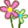 bunga